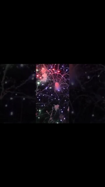 Firework Sounds #Shorts 🎆