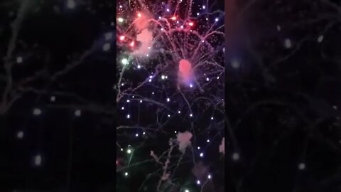 Firework Sounds #Shorts 🎆