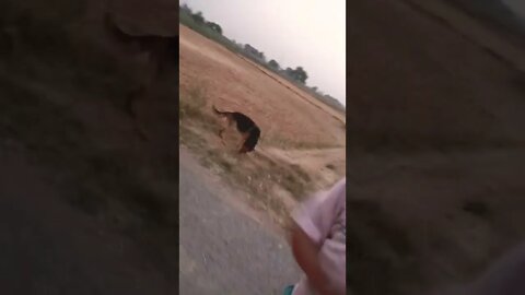 funny video#rudrakrishna #viral #trending