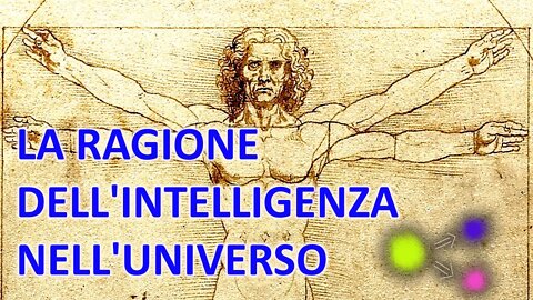 La ragione dell'intelligenza nel cosmo. Dove vuole arrivare la natura generando esseri intelligenti?