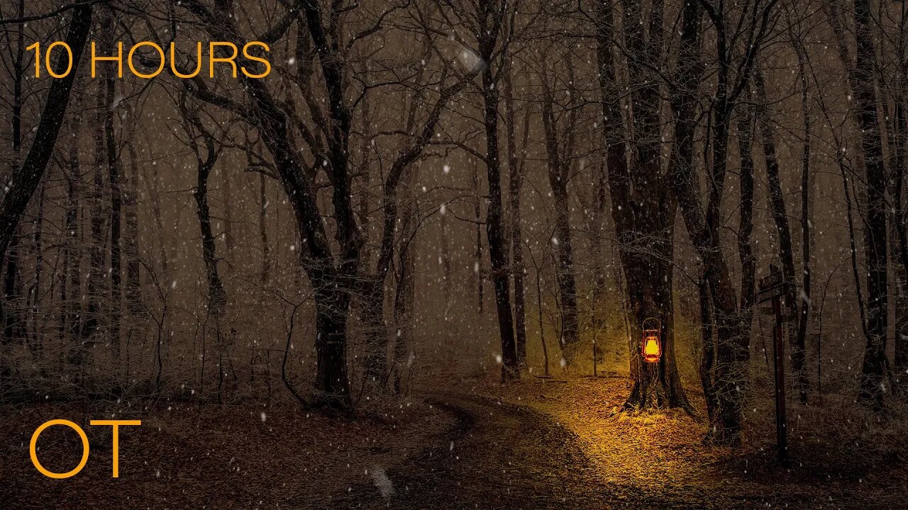 BUNDLE UP FOR YOUR JOURNEY | Snowy Night on a Mystical Forest Path | Wind & Blowing Snow | 10 HOURS