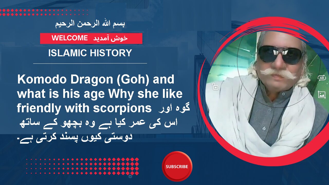 Komodo Dragon (Goh) and what is his age Why she like friendly with scorpions | ISLAMIC HISTORY