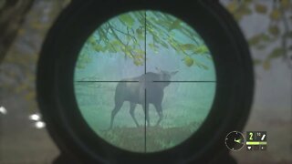 Deer Calls, Shots Fired #theHunter #CallOfTheWild #Nature