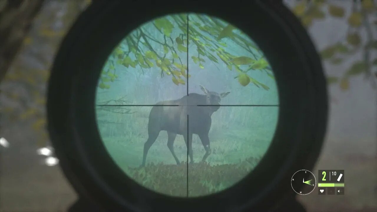 Deer Calls, Shots Fired #theHunter #CallOfTheWild #Nature