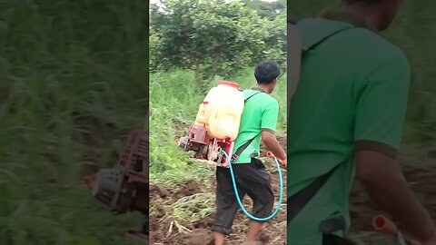 បាញ់ថ្នាំ