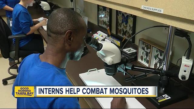 Interns help combat zika virus at Hillsborough County mosquito control