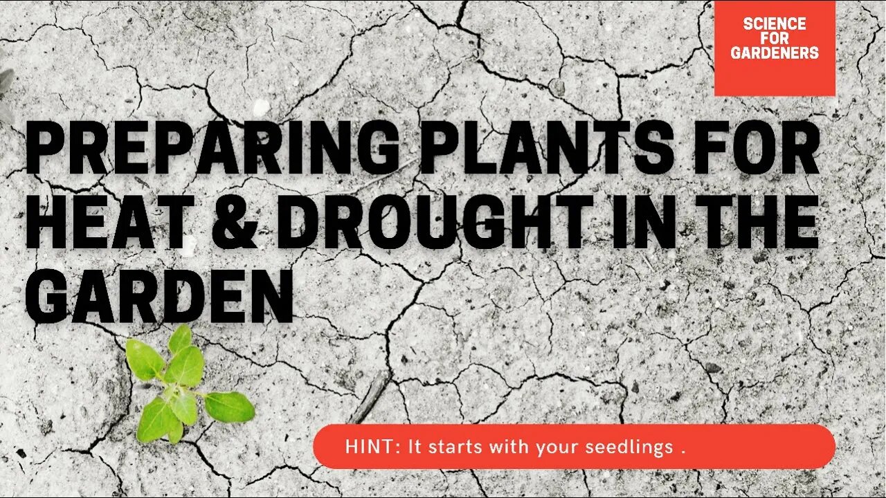 How To Prepare For Drought In The Garden. The Best Methods To Reduce Water Usage In The Garden