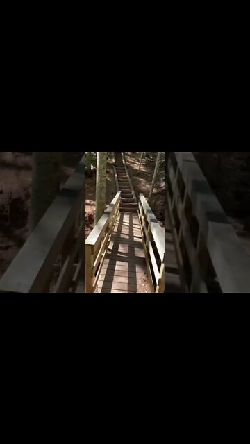 Walking on a bridge above water