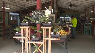 Florida market continues tradition of serving up fresh fruits, vegetables