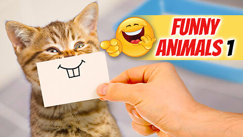 🔥 Funny Animal Video Compilation - Cats 😺 & Dogs 🐶 I Part-1