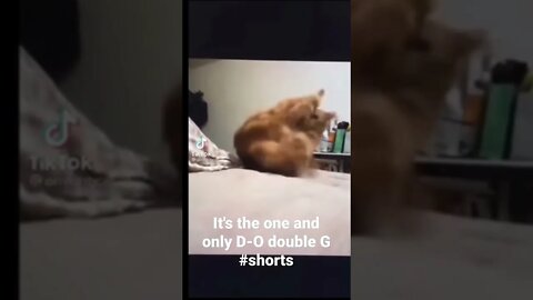 It's the one and only D-O double G #shorts