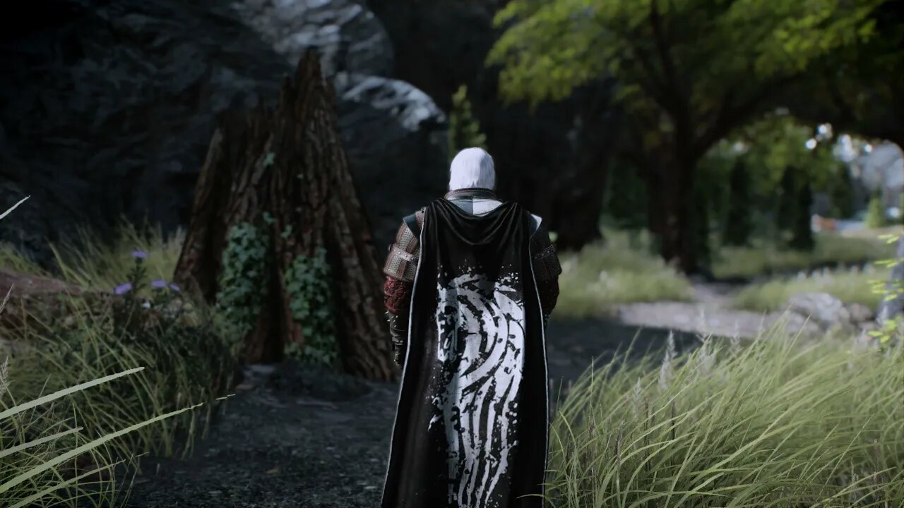 Skyrim Fantastic Cloaks SE