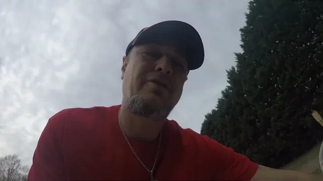 Hamsters only think about escape!