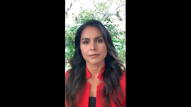 Tulsi Gabbard