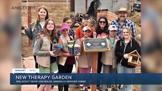 Girl Scout Troop 3010 creates bee-friendly therapy garden