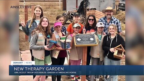 Girl Scout Troop 3010 creates bee-friendly therapy garden