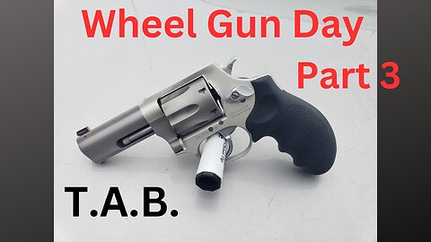 Wheelgun Day 3 Taurus Defender 856