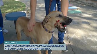 Vale do Aço: Vacinação contra Raiva para Cães e Gatos até o dia 25 de Agosto em Ipatinga.