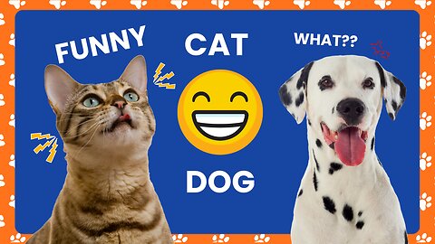 Funniest Animals 2023 Funny Dogs and Cats