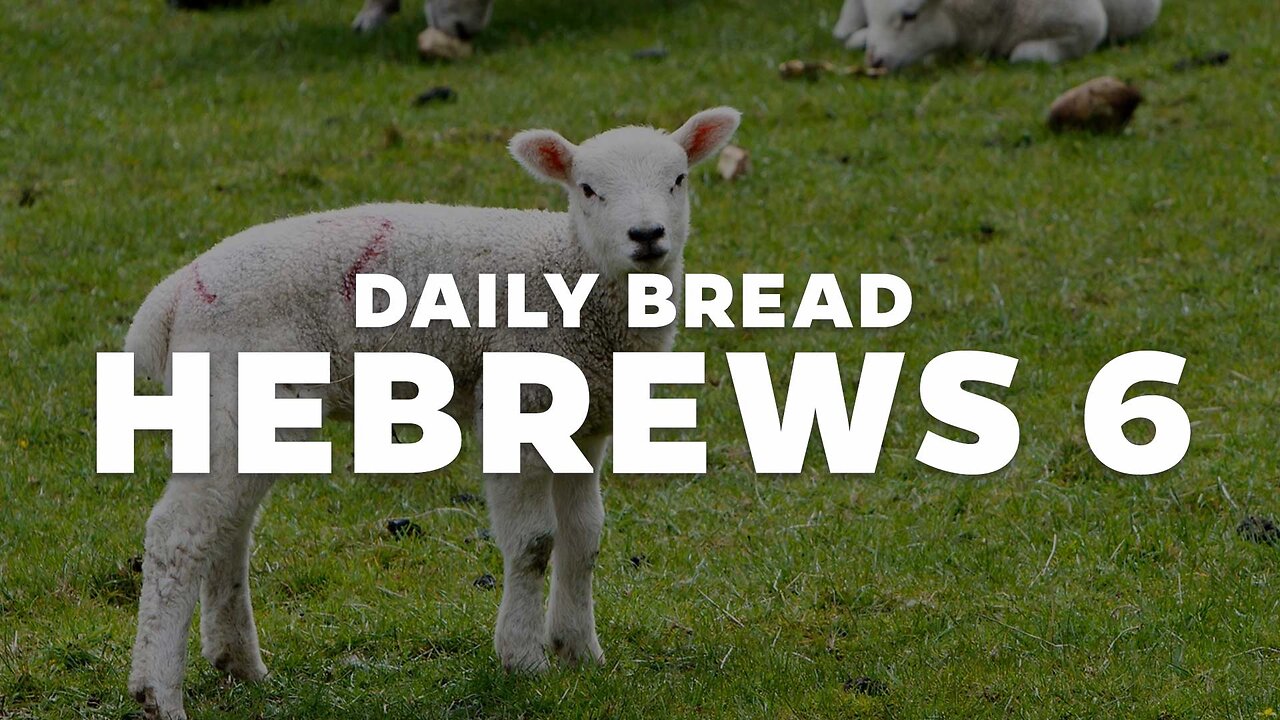 Daily Bread: Hebrews 6