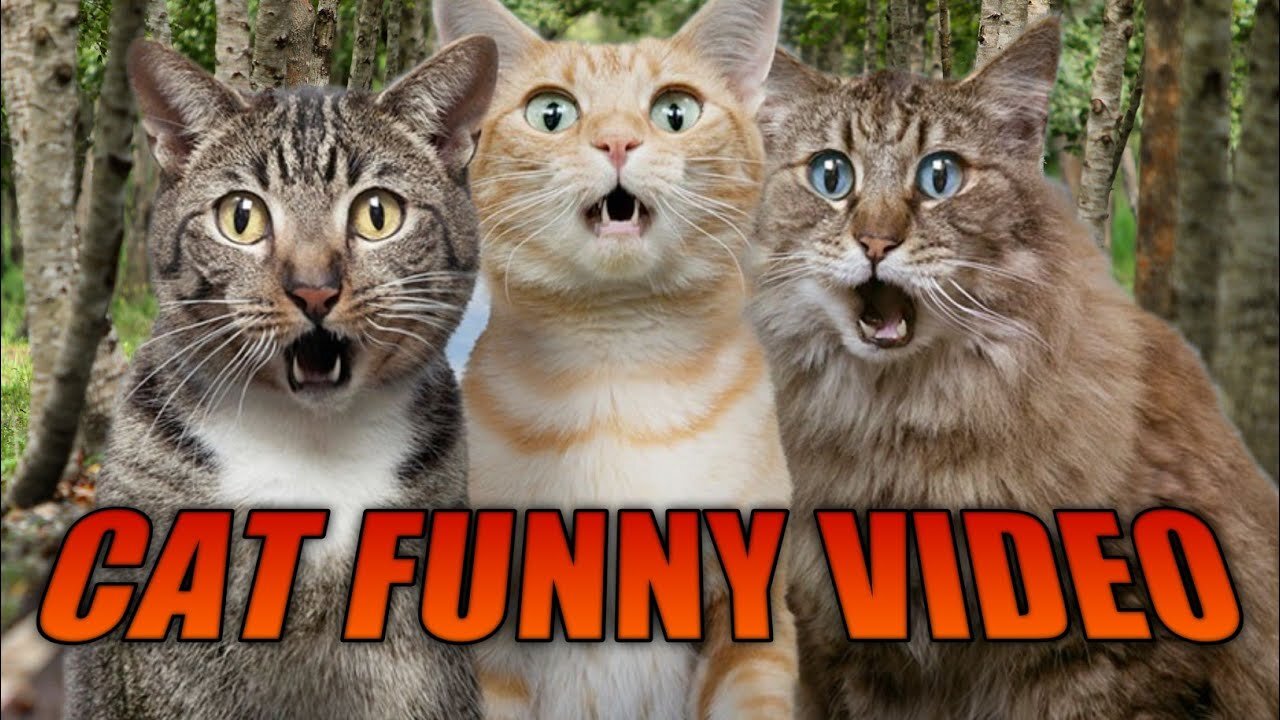 TRY NOT TO LAUGH CHALLENGE 🤣Funny animals Videos that will Make You Laugh