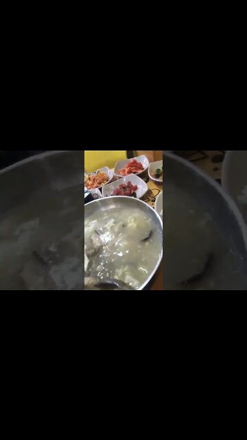 #shorts #hungry #cooking #food Korean Beef short rib soup!