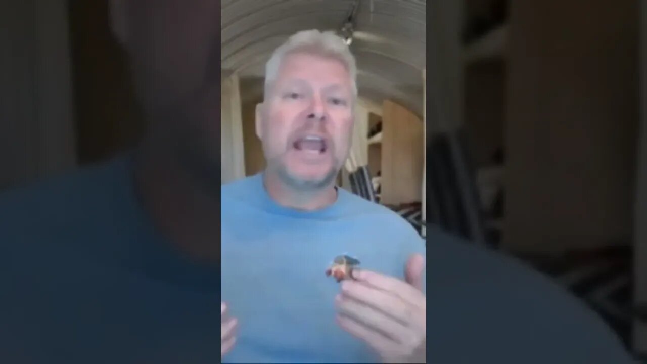 Stupid government policies