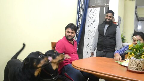 Elder brother's Happiness is celebrating his birthday with Mr.Nut & Mr.Bolt