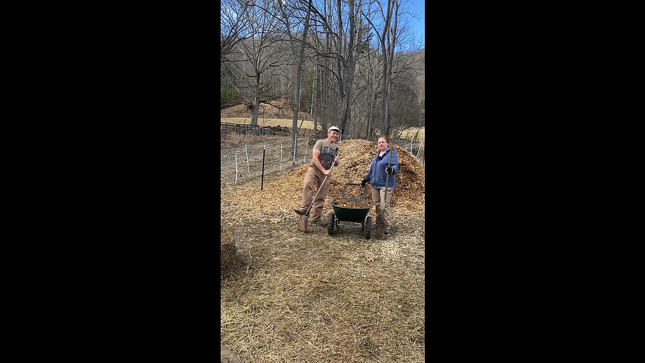 Mud In Your Chicken Run? Do This