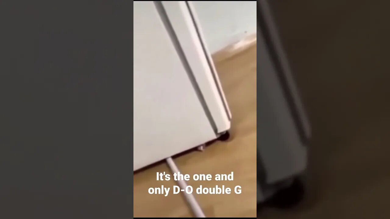 It's the one and only D-O double G #shorts