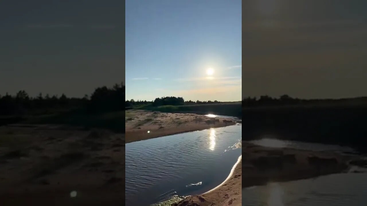 Beautiful day at the beach