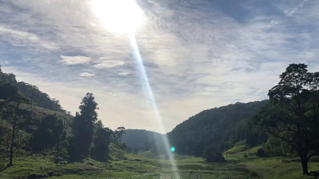 Morning visit with the horses