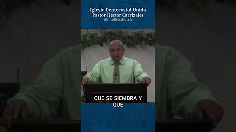 El secreto del exitoso cultivo: cuidar y limpiar constantemente