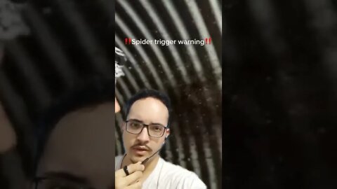 GATILHO DE ARANHA CUIDADO! 🕷️