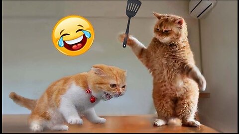 New Funny Animals 😂 Funniest Cats and Dogs Videos 😺🐶