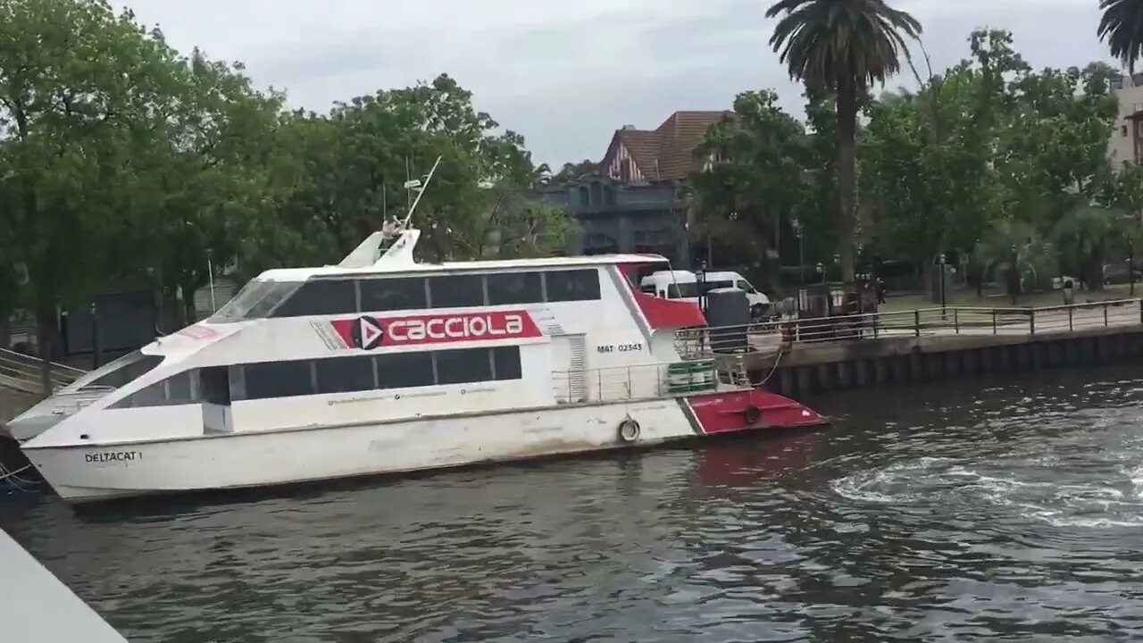 Hermoso sábado en el tigre 🐯