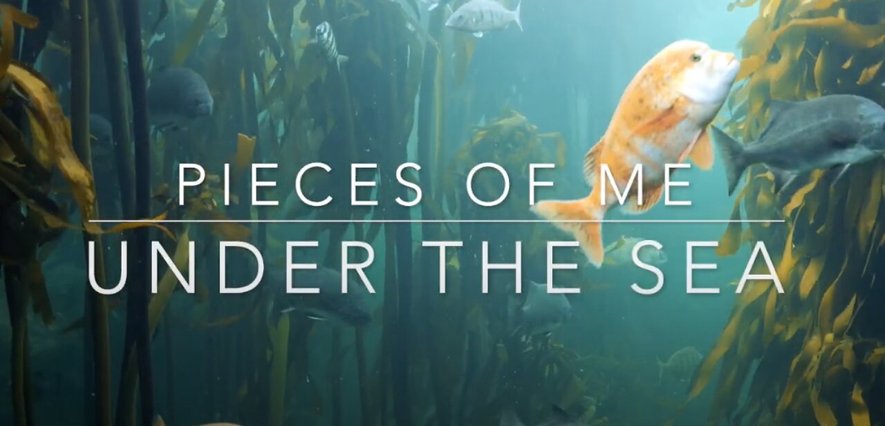 Sea Life | Calming with Beautiful Music