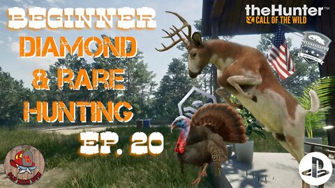 Beginner Diamond & Rare Hunting Ep 20 theHunter Call of the Wild