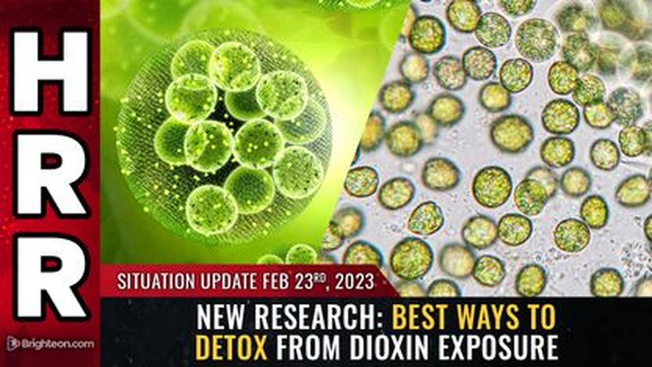 02-23-23 S.U. New research Best ways to DETOX from DIOXIN exposure