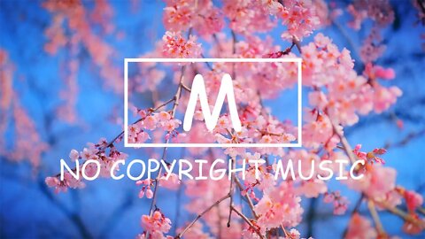 Vlad Gluschenko - Tide（Mm No Copyright Music）