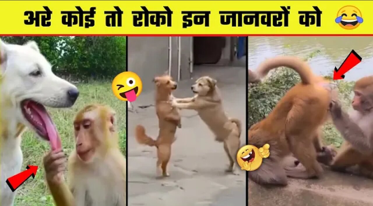 😂🤣इन जानवरों से पंगा ना बाबा ना। Funny Animal Videos 2023 part1