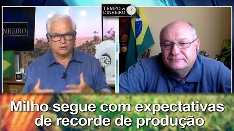 Milho segue com expectativas de recorde de produção