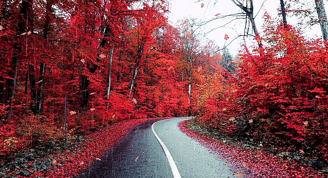 Soothing Music to Calm Your Mind and Relieve Stress"