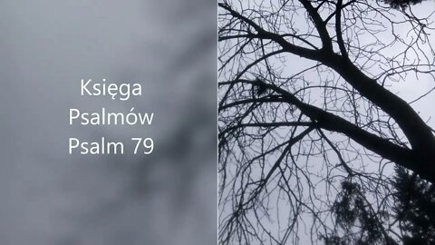 Księga Psalmów - Psalm 79