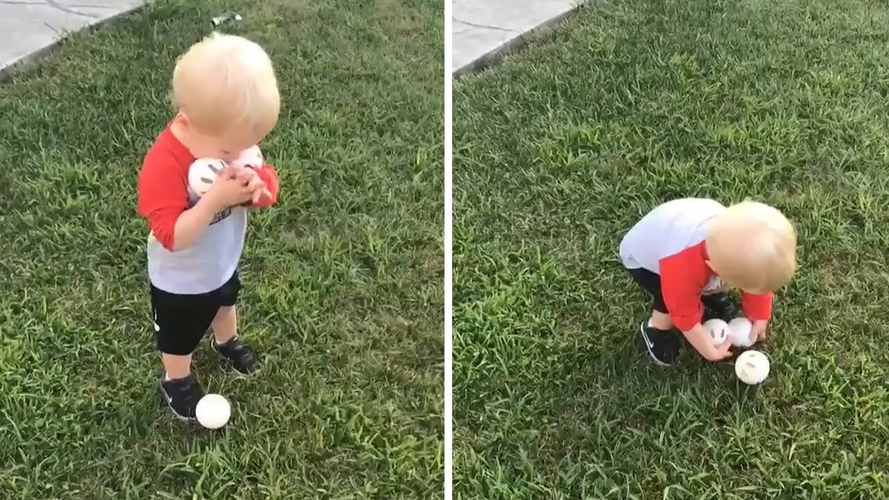 Toddler Hilariously Struggles To Pick Up Three Balls At Once