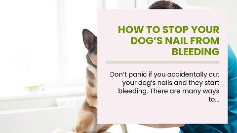 How to Stop Your Dog’s Nail From Bleeding