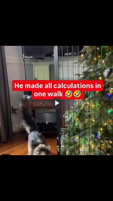 He made all the math calculations in one walk.