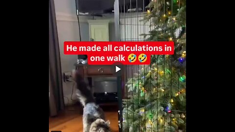 He made all the math calculations in one walk.