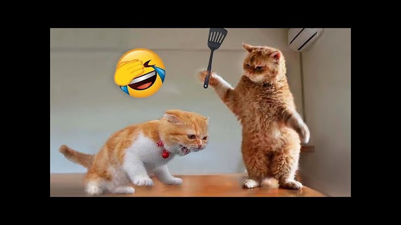 Funniest Animals 2023 😂 Funny Cats and Dogs 🐱🐶 | Funny Animal Videos 2023