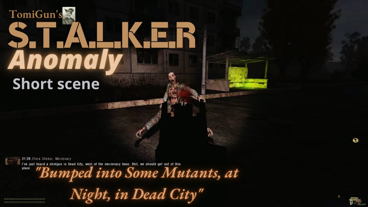 Bumped into Some Mutants, at Night, in Dead City - S.T.A.L.K.E.R Anomaly Short Scene